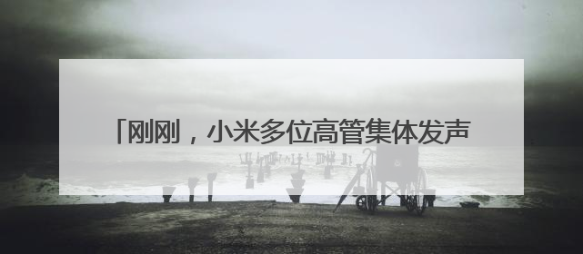 刚刚，小米多位高管集体发声：诋毁，本身就是一种仰望