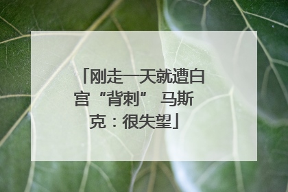 刚走一天就遭白宫“背刺” 马斯克：很失望