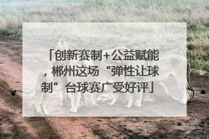 创新赛制+公益赋能，郴州这场“弹性让球制”台球赛广受好评
