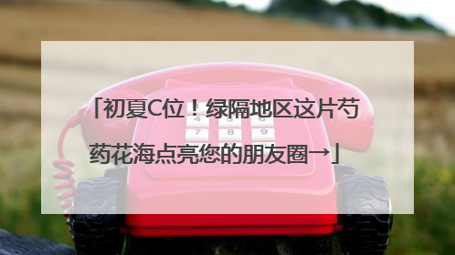 初夏C位！绿隔地区这片芍药花海点亮您的朋友圈→