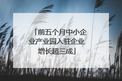 前五个月中小企业产业园入驻企业增长超三成