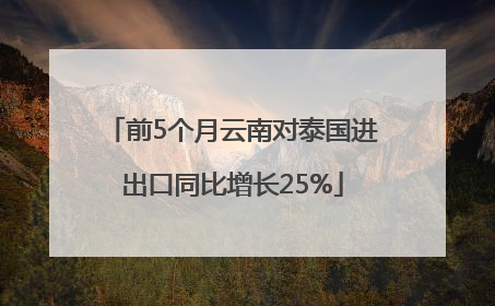 前5个月云南对泰国进出口同比增长25%