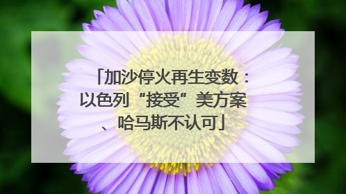 加沙停火再生变数：以色列“接受”美方案、哈马斯不认可