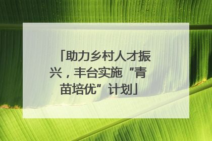 助力乡村人才振兴，丰台实施“青苗培优”计划