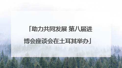 助力共同发展 第八届进博会座谈会在土耳其举办