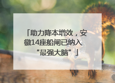 助力降本增效，安徽14座船闸已纳入“最强大脑”