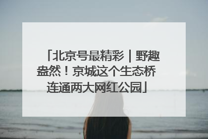 北京号最精彩｜野趣盎然！京城这个生态桥连通两大网红公园