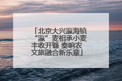 北京大兴瀛海镇“瀛”麦相承小麦丰收开镰 奏响农文旅融合新乐章