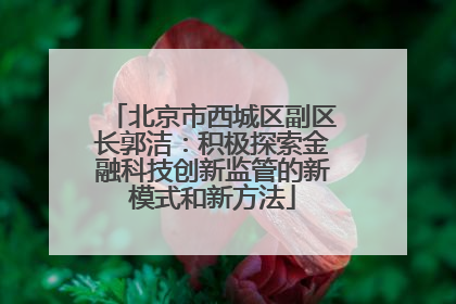 北京市西城区副区长郭洁：积极探索金融科技创新监管的新模式和新方法