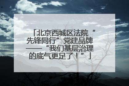 北京西城区法院“先锋同行”党建品牌——“我们基层治理的底气更足了！”