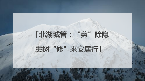 北湖城管：“剪”除隐患树“修”来安居行