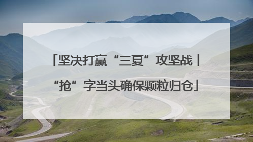 坚决打赢“三夏”攻坚战丨“抢”字当头确保颗粒归仓