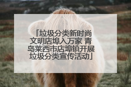 垃圾分类新时尚 文明店埠入万家 青岛莱西市店埠镇开展垃圾分类宣传活动