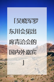 吴晓军罗东川会见出席青洽会的国内外嘉宾