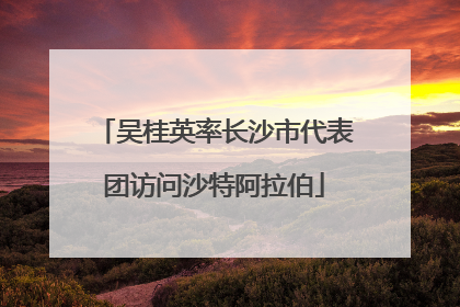 吴桂英率长沙市代表团访问沙特阿拉伯