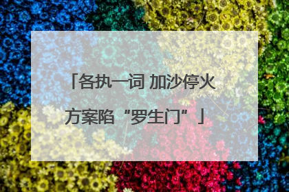各执一词 加沙停火方案陷“罗生门”
