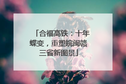 合福高铁：十年蝶变，重塑皖闽赣三省新图景