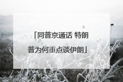 同普京通话 特朗普为何重点谈伊朗