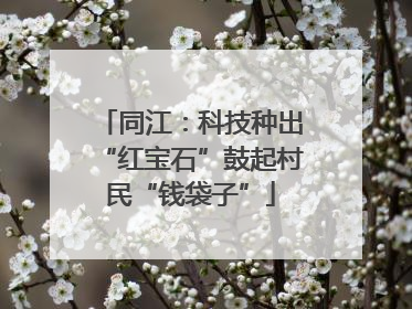 同江：科技种出“红宝石”鼓起村民“钱袋子”