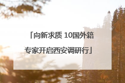 向新求质 10国外籍专家开启西安调研行