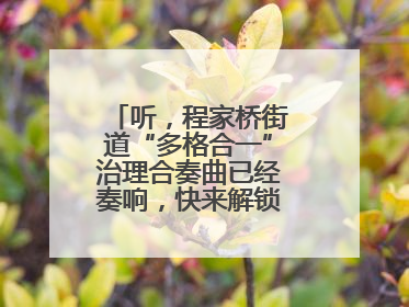 听，程家桥街道“多格合一”治理合奏曲已经奏响，快来解锁高光时刻！