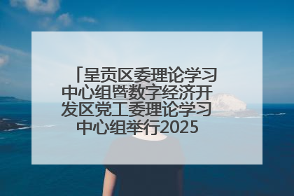 呈贡区委理论学习中心组暨数字经济开发区党工委理论学习中心组举行2025年第七次学习会议