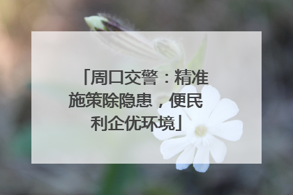 周口交警：精准施策除隐患，便民利企优环境