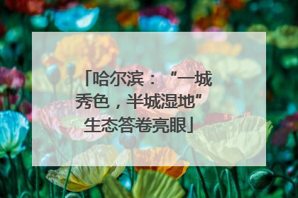 哈尔滨：“一城秀色，半城湿地”生态答卷亮眼