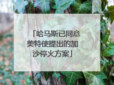 哈马斯已同意美特使提出的加沙停火方案