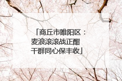 商丘市睢阳区：麦浪滚滚战正酣 干群同心保丰收