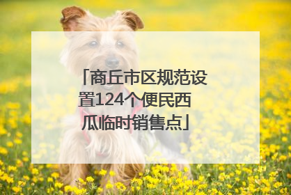 商丘市区规范设置124个便民西瓜临时销售点