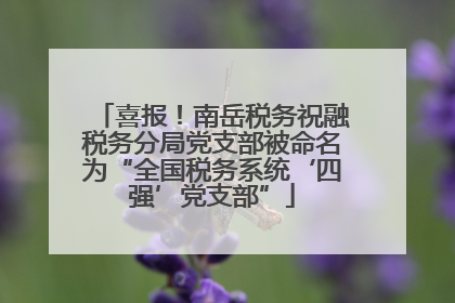 喜报！南岳税务祝融税务分局党支部被命名为“全国税务系统‘四强’党支部”
