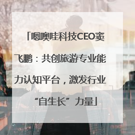嗯噢哇科技CEO窦飞鹏：共创旅游专业能力认知平台，激发行业“自生长”力量
