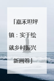 嘉禾坦坪镇：实干绘就乡村振兴新画卷
