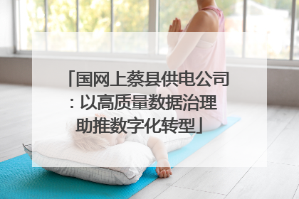 国网上蔡县供电公司：以高质量数据治理 助推数字化转型