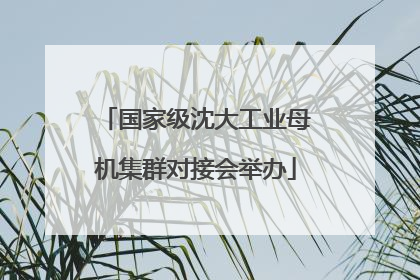 国家级沈大工业母机集群对接会举办