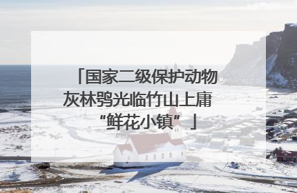 国家二级保护动物灰林鸮光临竹山上庸“鲜花小镇”