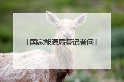 国家能源局答记者问