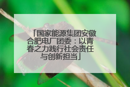 国家能源集团安徽合肥电厂团委：以青春之力践行社会责任与创新担当