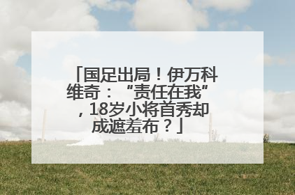 国足出局！伊万科维奇：“责任在我”，18岁小将首秀却成遮羞布？