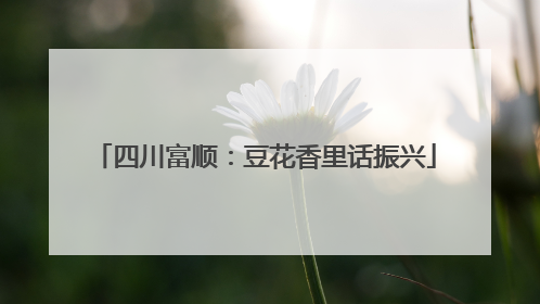 四川富顺：豆花香里话振兴