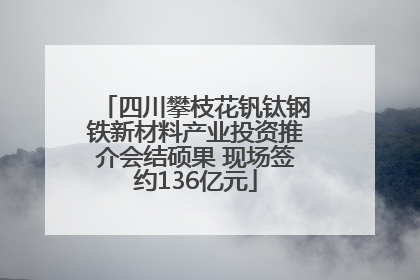 四川攀枝花钒钛钢铁新材料产业投资推介会结硕果 现场签约136亿元