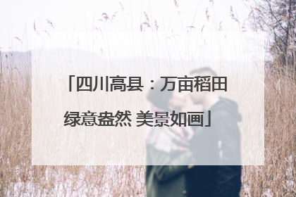 四川高县：万亩稻田绿意盎然 美景如画