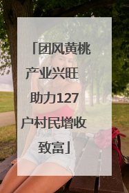 团风黄桃产业兴旺 助力127户村民增收致富