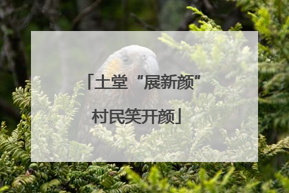 土堂“展新颜” 村民笑开颜