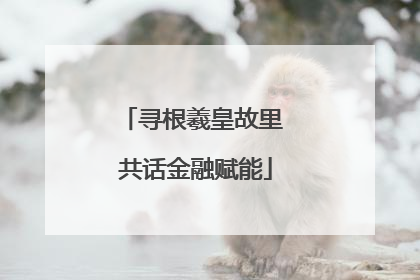 寻根羲皇故里 共话金融赋能