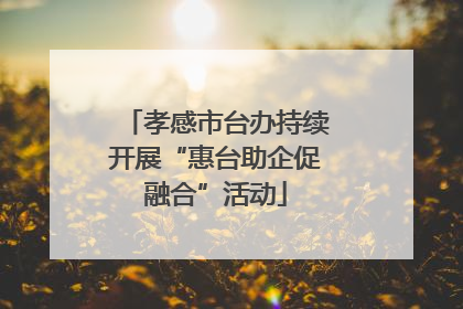 孝感市台办持续开展“惠台助企促融合”活动