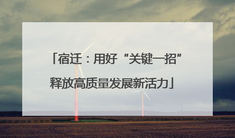 宿迁：用好“关键一招” 释放高质量发展新活力