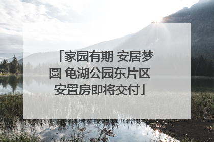 家园有期 安居梦圆 龟湖公园东片区安置房即将交付