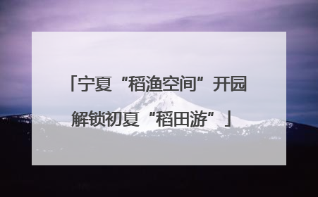 宁夏“稻渔空间”开园 解锁初夏“稻田游”